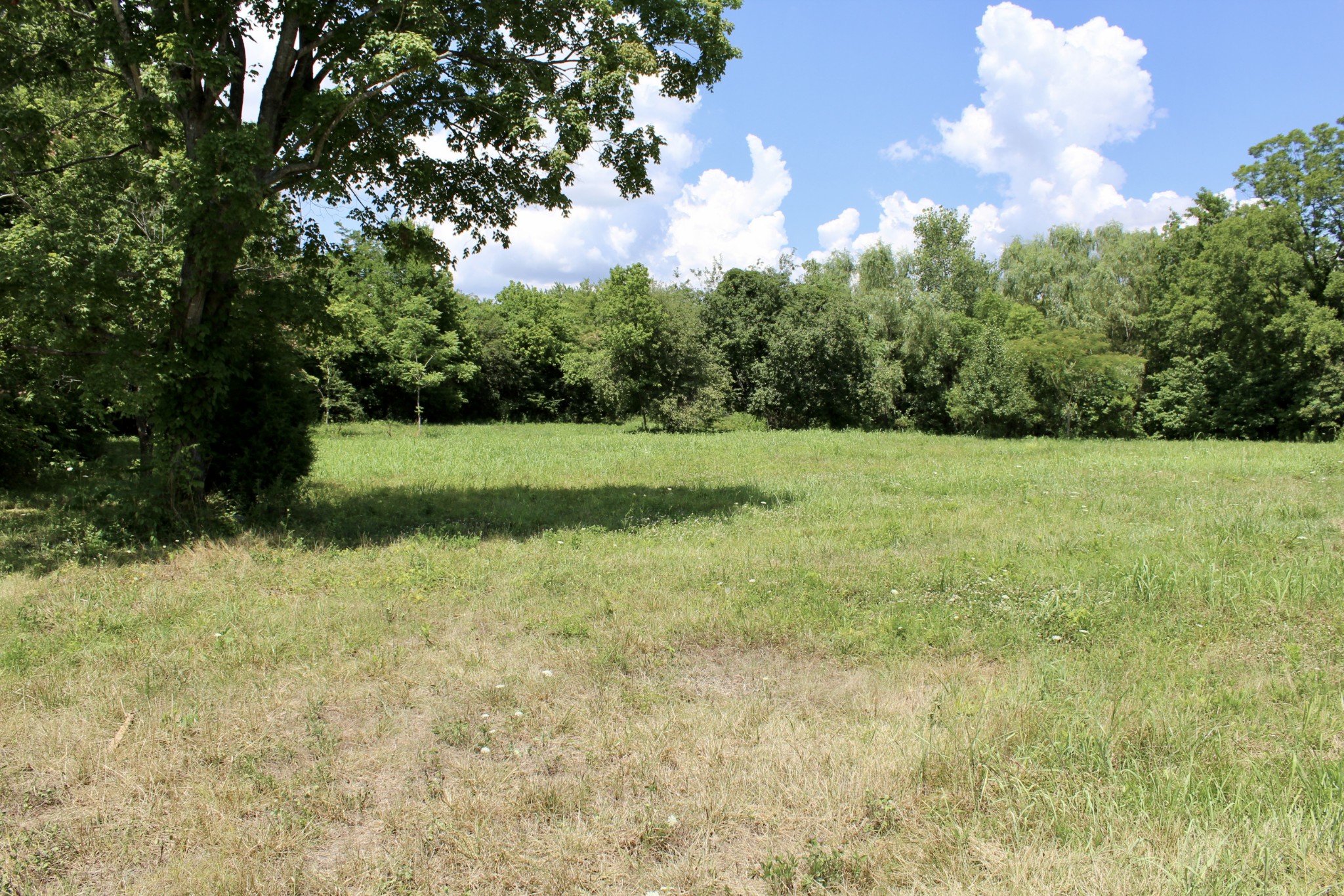 2344 Kinneys Road Cedar Hill, TN 37032 - Photo 5 of 6 a view of field with trees in the background