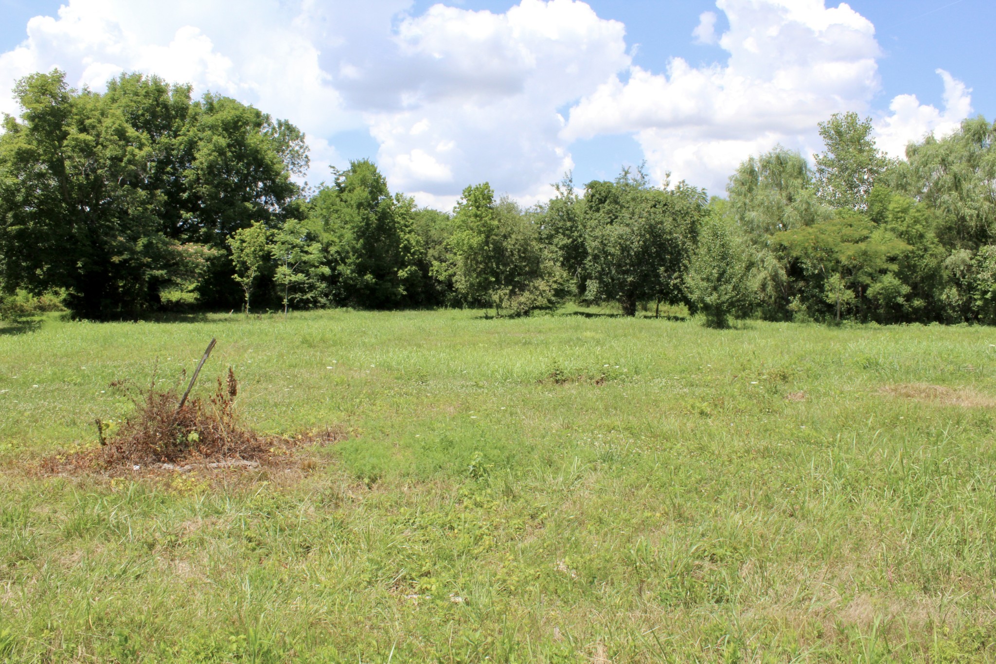 2344 Kinneys Road Cedar Hill, TN 37032 - Photo 6 of 6 a view of a field with trees in the background
