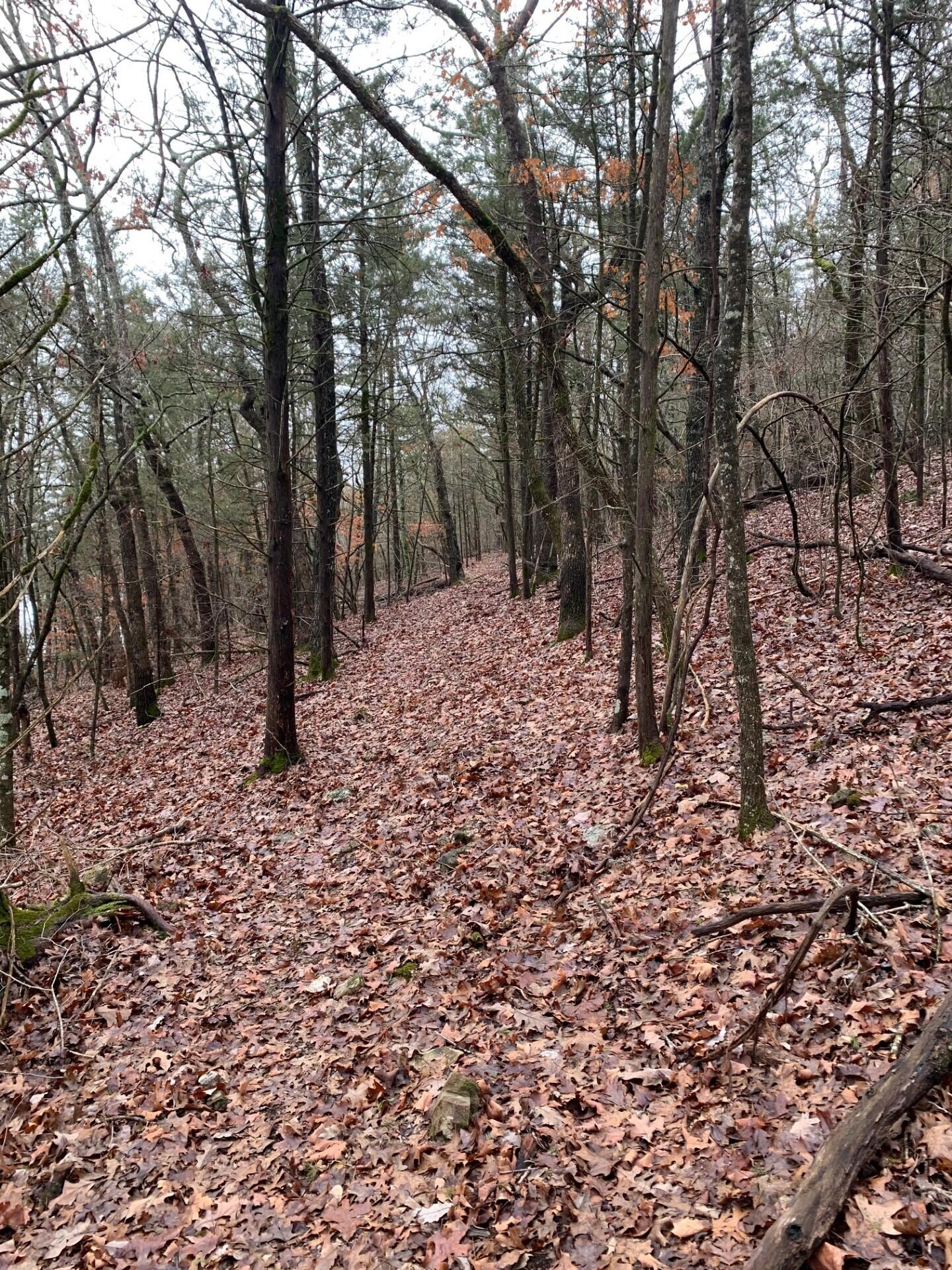 0 Ridgemont Circle Reeds Spring, MO 65737 - Photo 5 of 15 Trails