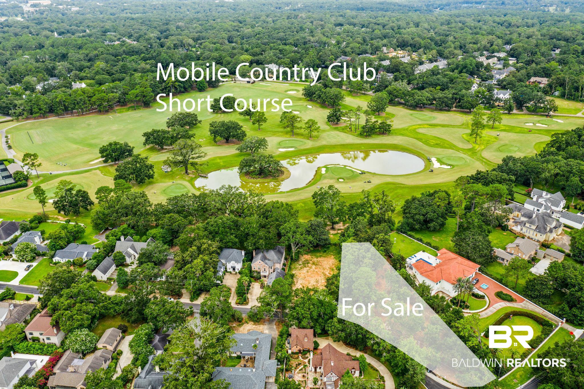 0 Drury Lane Mobile, AL 36608 - Photo 4 of 11