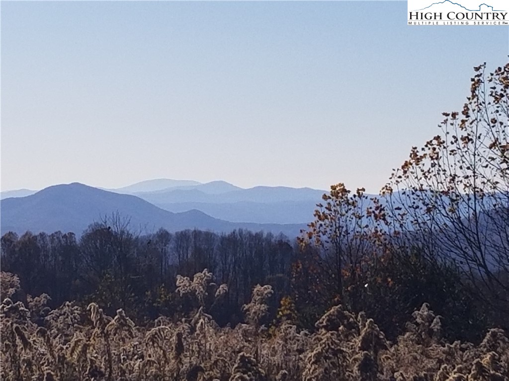 Fork Ridge Road Zionville, NC 28698 - Photo 14 of 26 Gallery Image 14