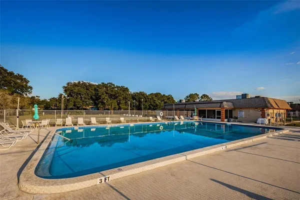 a view of a swimming pool with a yard and plants