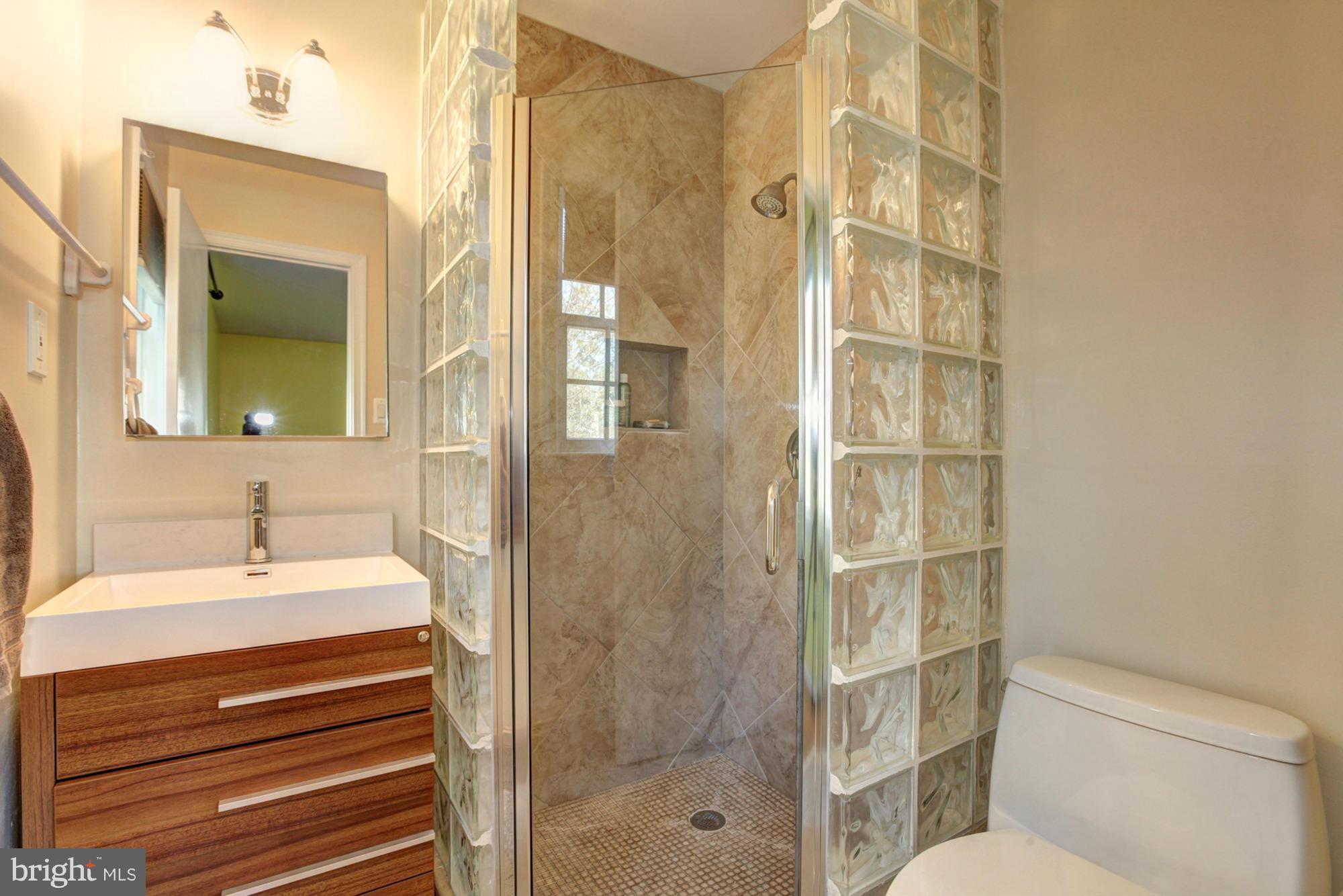 13317 Old Forge Road Silver Spring, MD 20904 - Photo 14 of 30 Bath (Master)