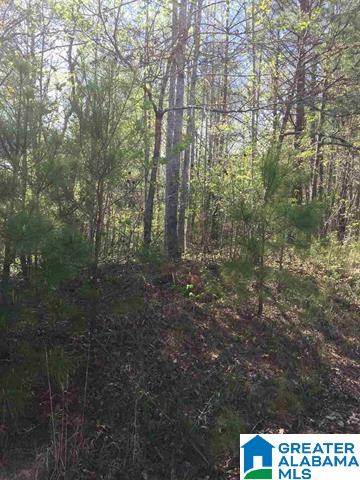 1331 Cedar Creek Road, Unit 4 ACRES Odenville, AL 35120 - Photo 13 of 20
