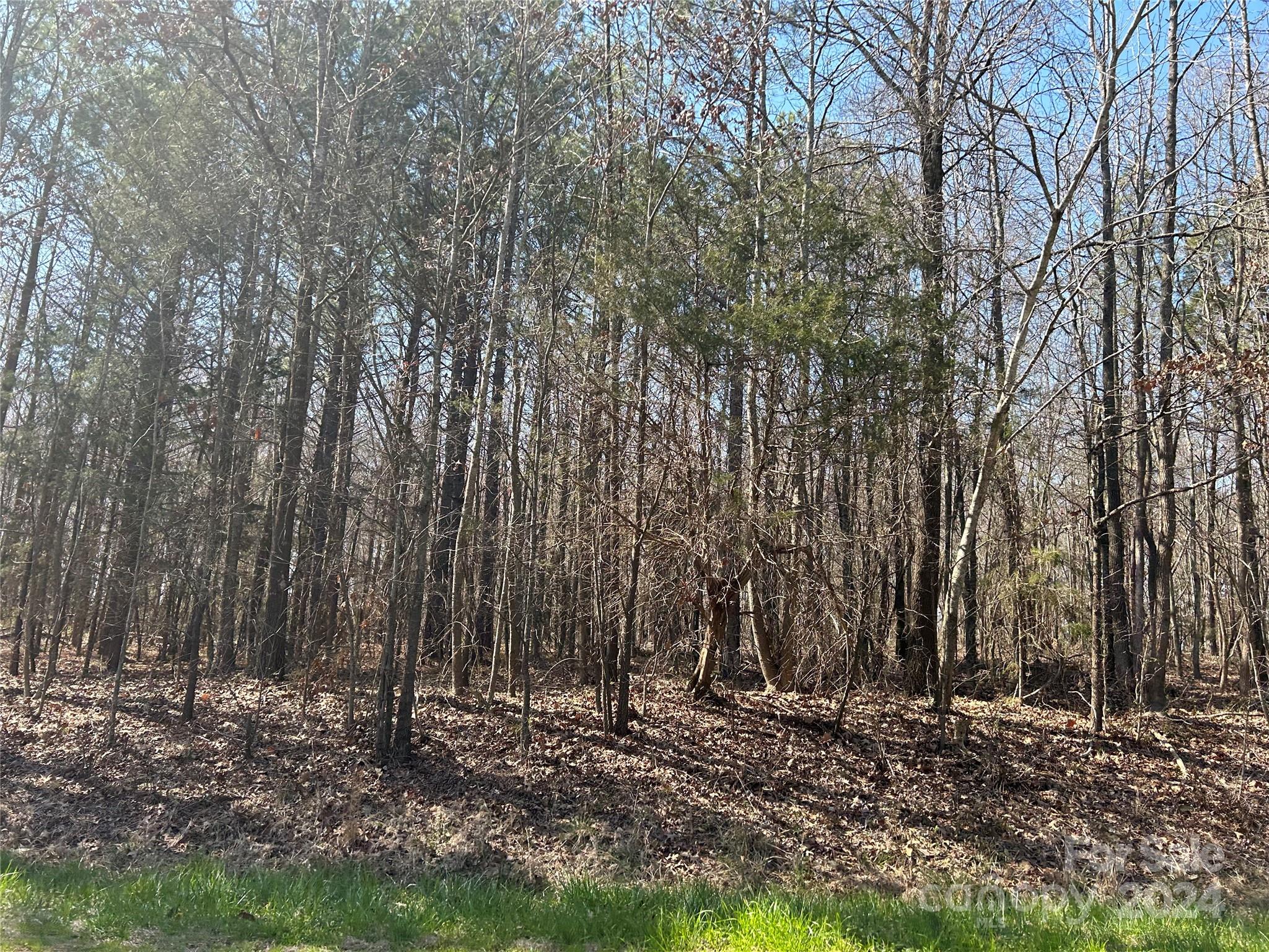 0 Phifer Road Wingate, NC 28174 - Photo 5 of 6 Gallery Image 5