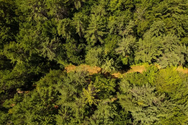 $149,000 | 0 Nh Route, Plainfield, NH 03781