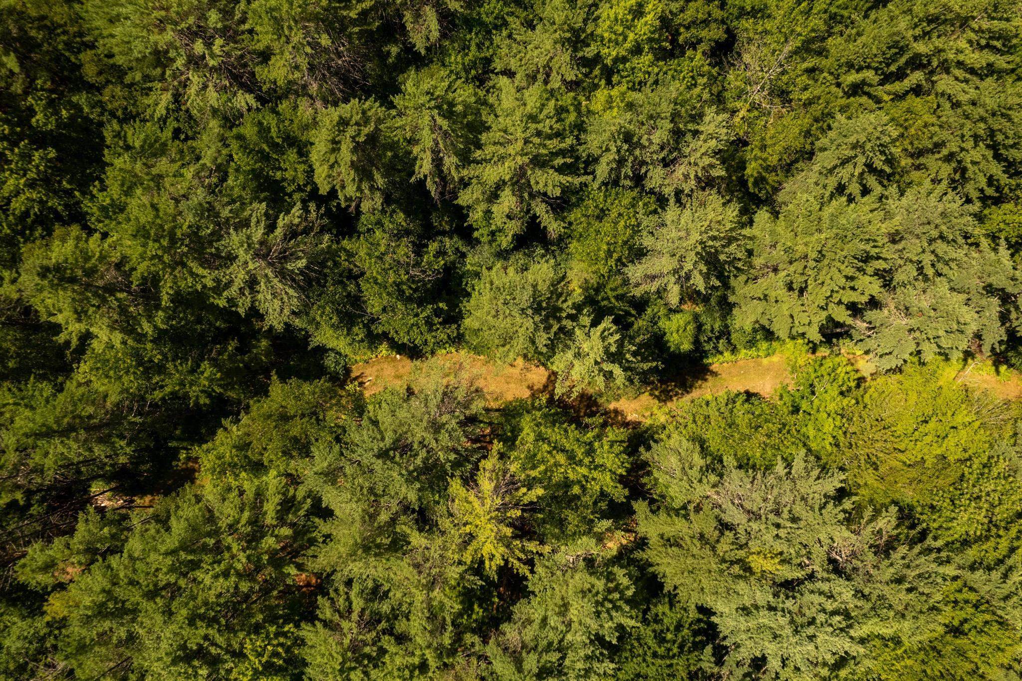 0 Nh Route Plainfield, NH 03781 - Photo 12 of 24