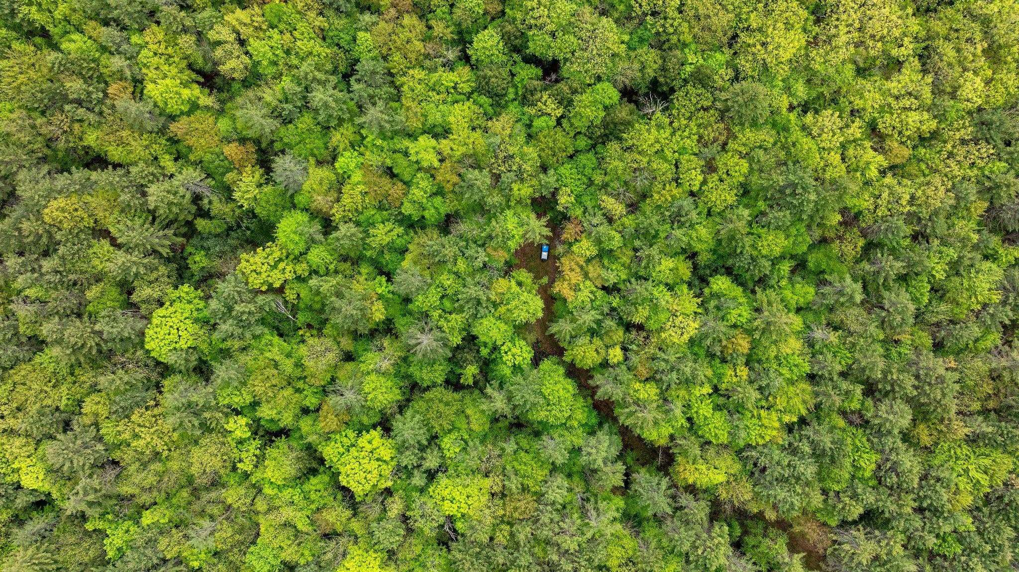 0 Nh Route Plainfield, NH 03781 - Photo 20 of 24