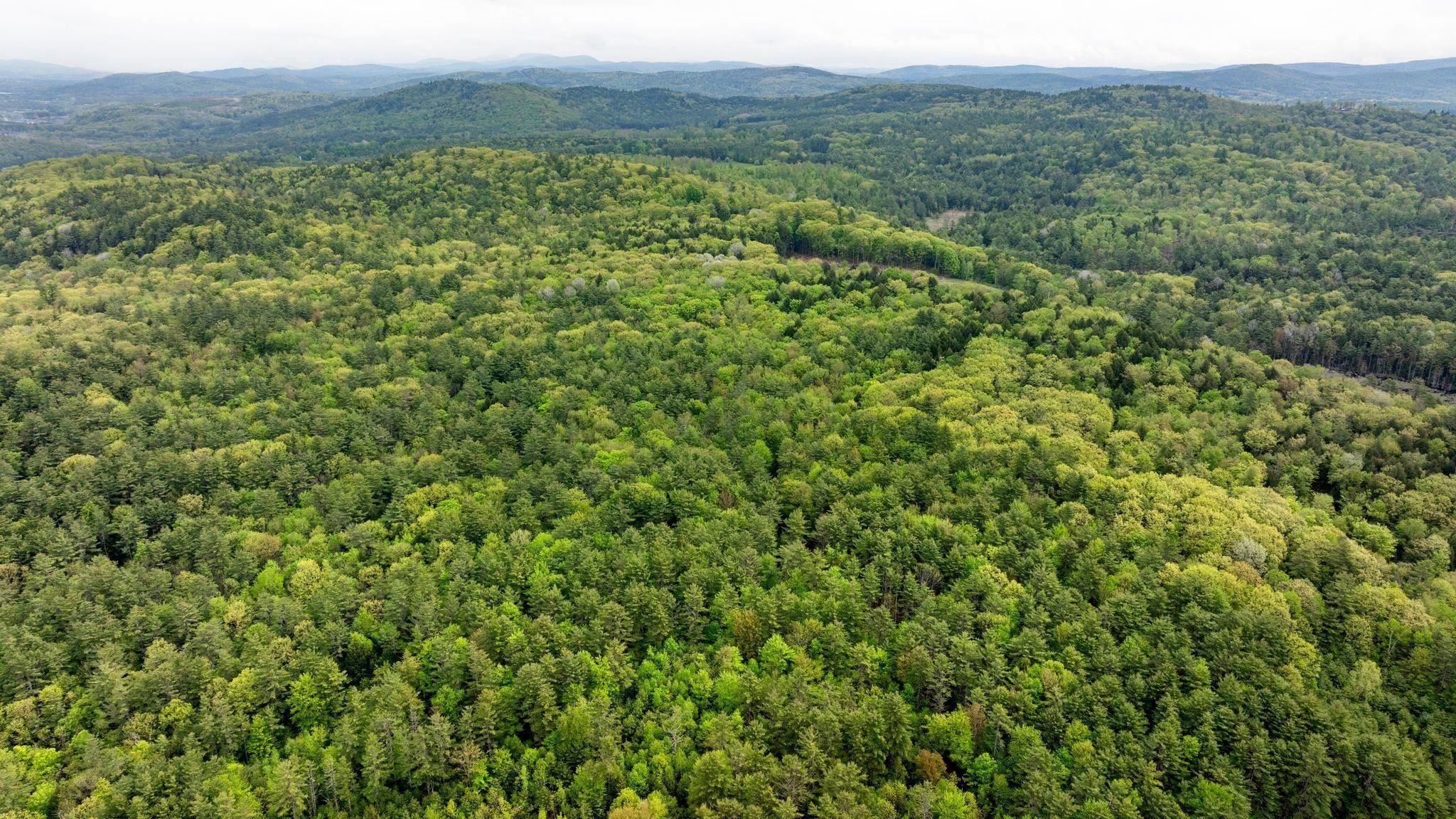 0 Nh Route Plainfield, NH 03781 - Photo 21 of 24