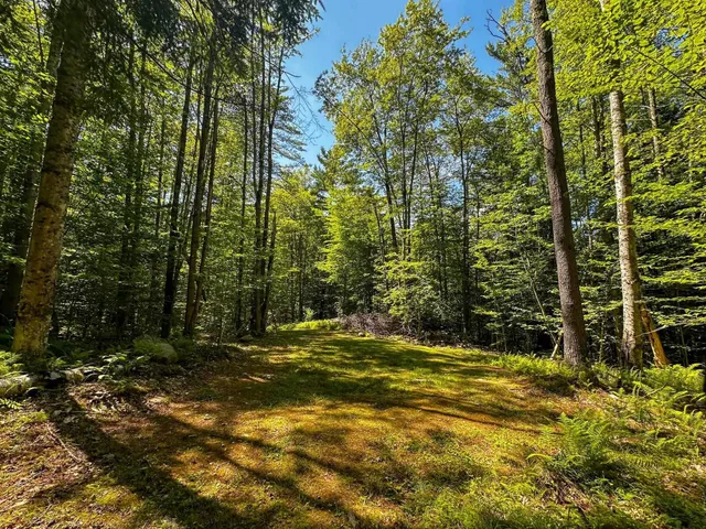 $149,000 | 0 Nh Route, Plainfield, NH 03781