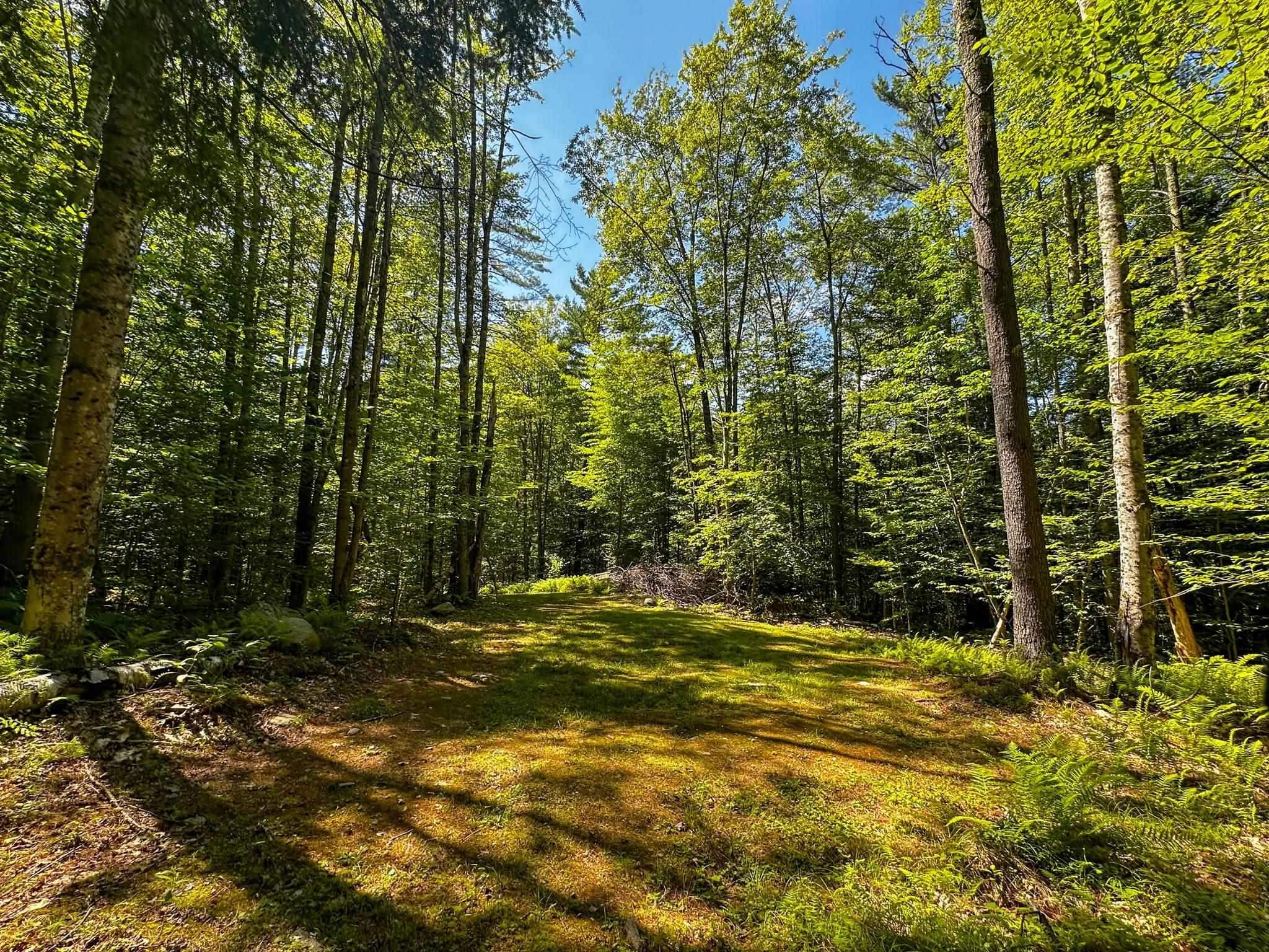 0 Nh Route Plainfield, NH 03781 - Photo 5 of 24