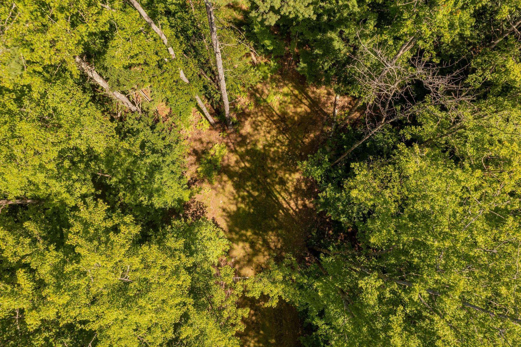 0 Nh Route Plainfield, NH 03781 - Photo 7 of 24