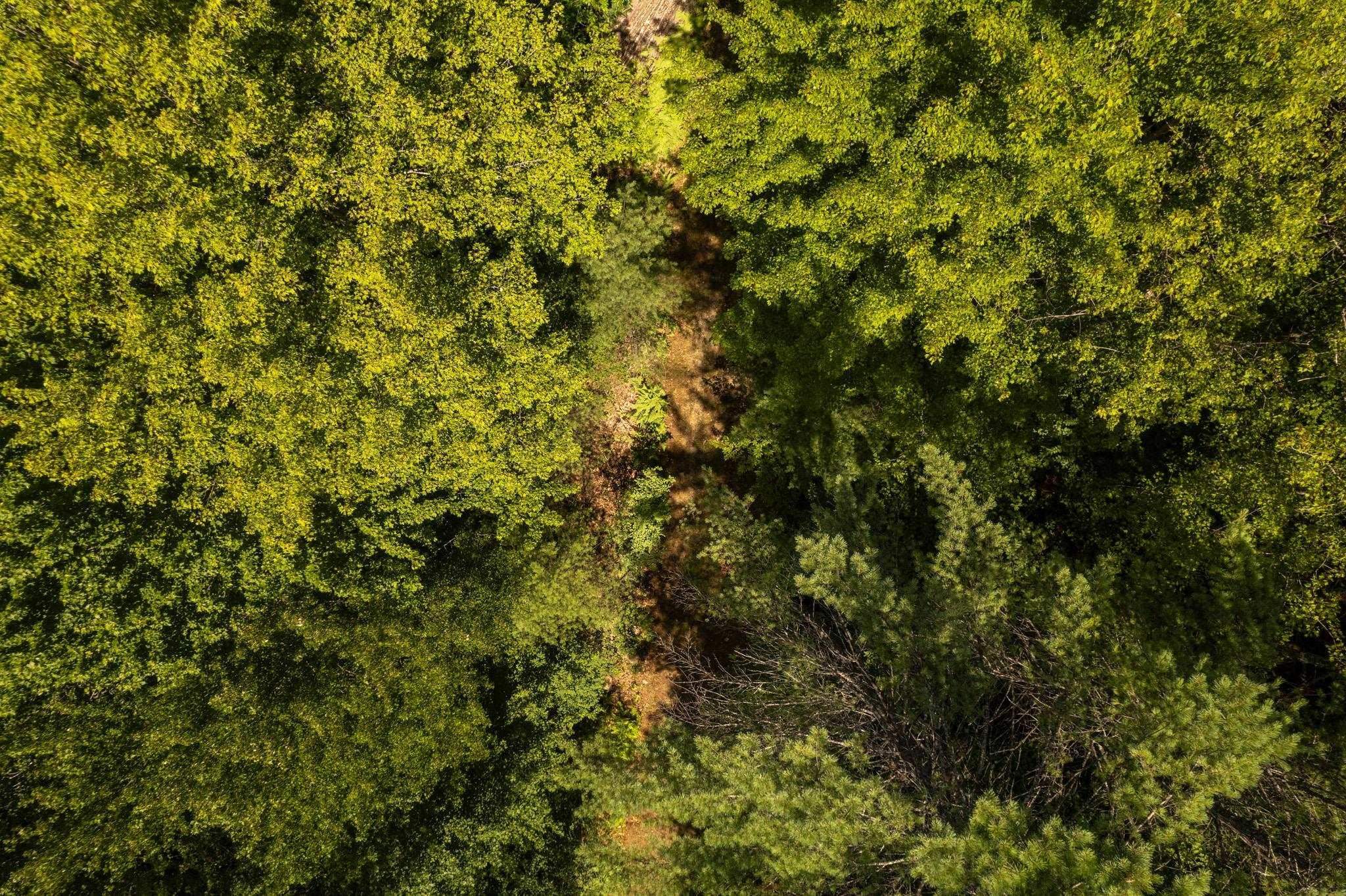 0 Nh Route Plainfield, NH 03781 - Photo 8 of 24