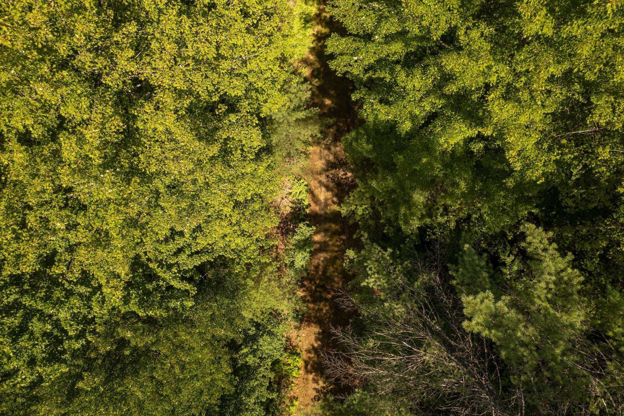 0 Nh Route Plainfield, NH 03781 - Photo 9 of 24