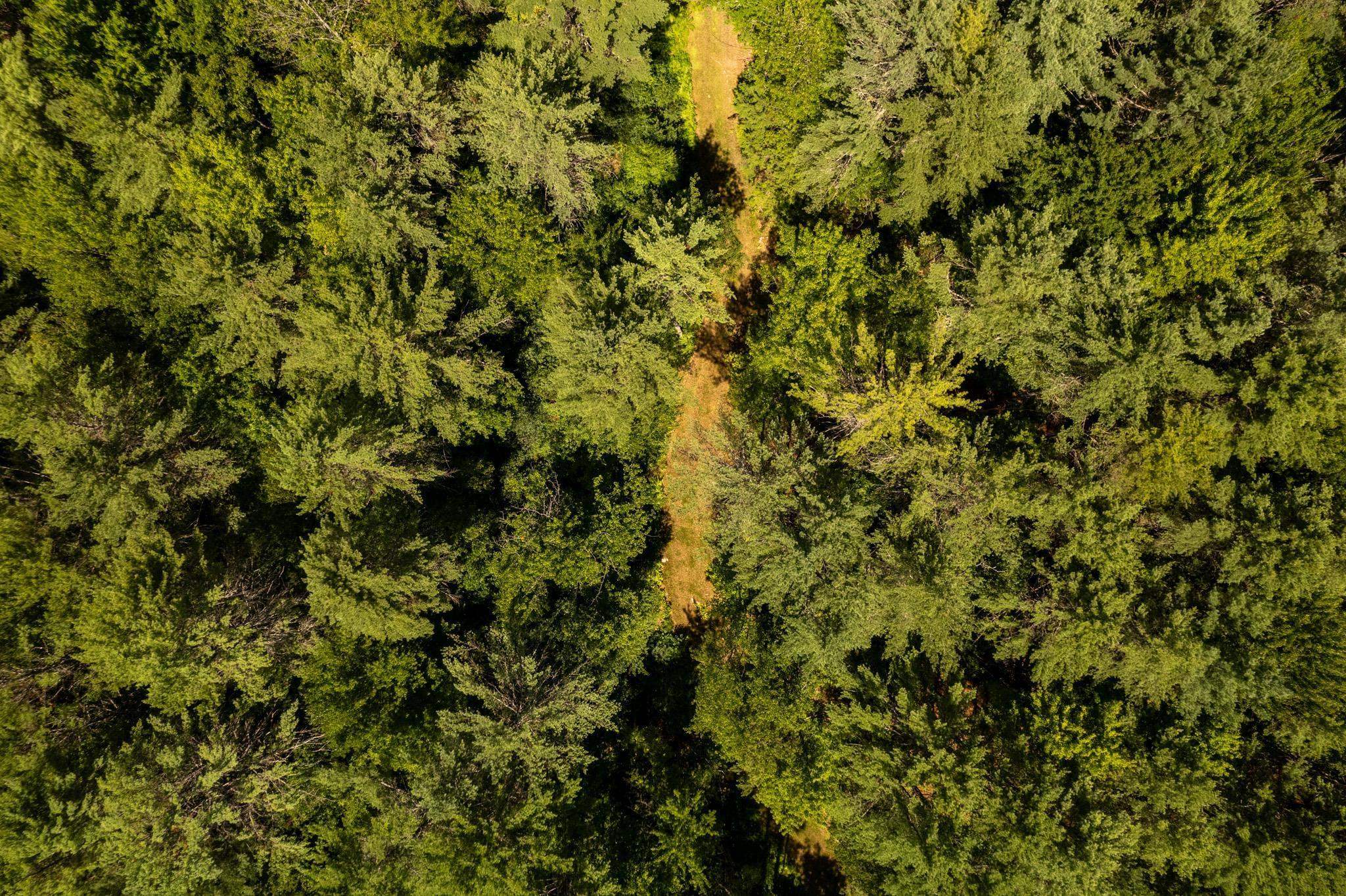 0 Nh Route Plainfield, NH 03781 - Photo 10 of 24