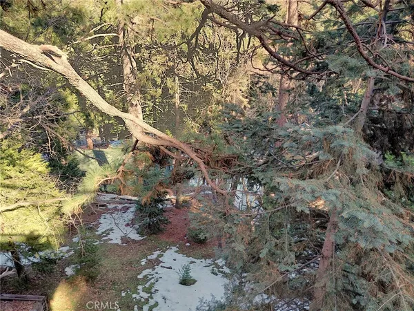 a view of a yard with a tree