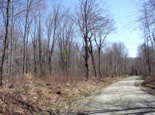 a view of a backyard of the house