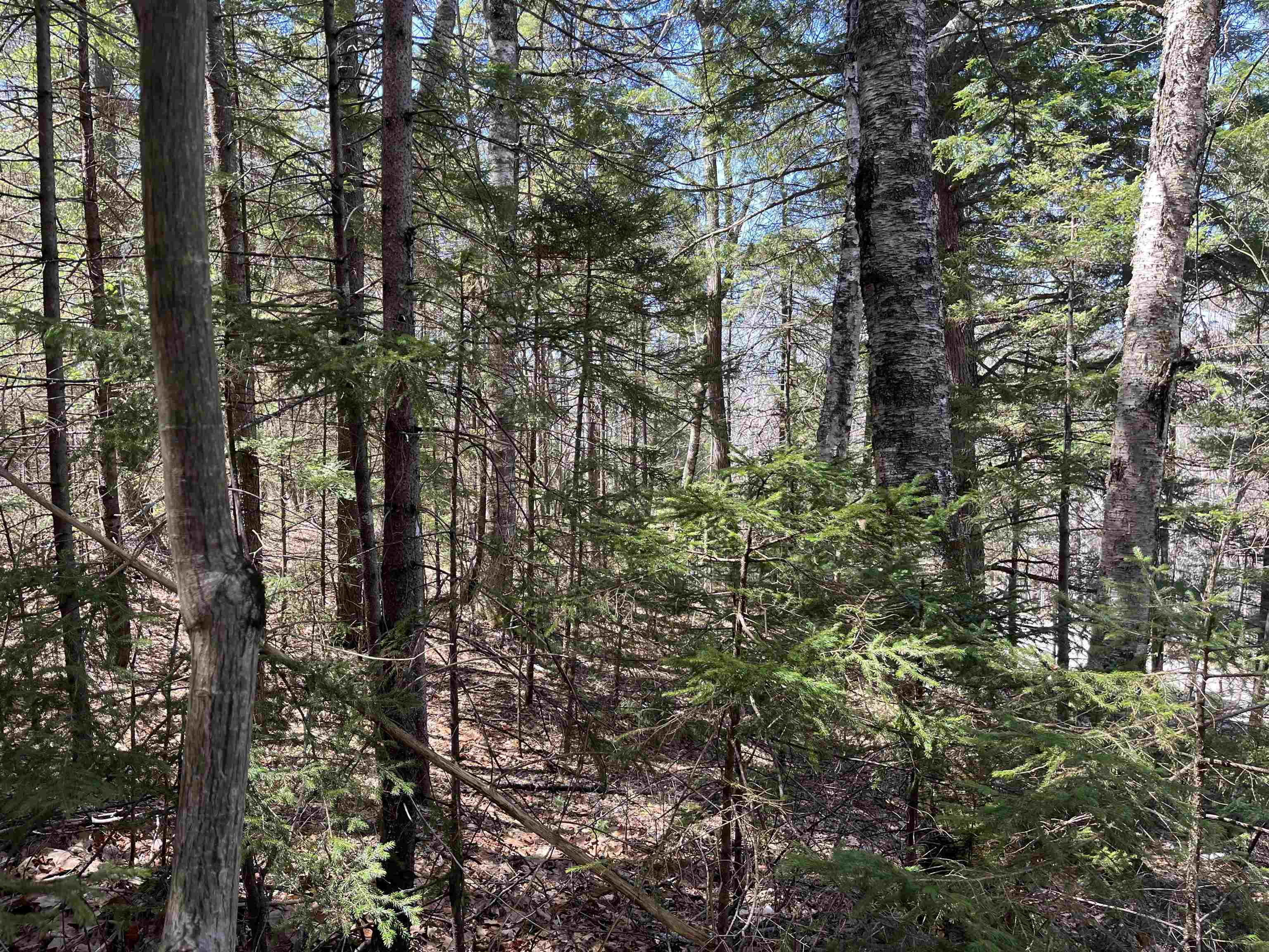 5 Boulder Court Campton, NH 03223 - Photo 3 of 12