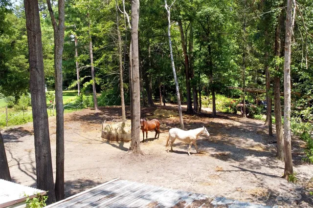 a view of a forest with a patio