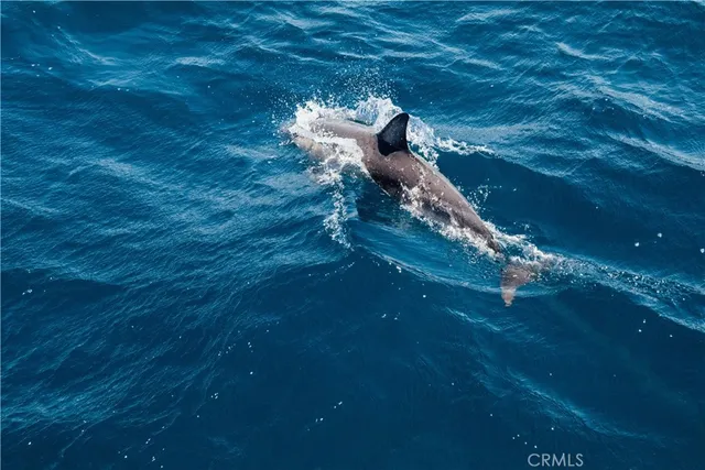 a view of an ocean from balcony