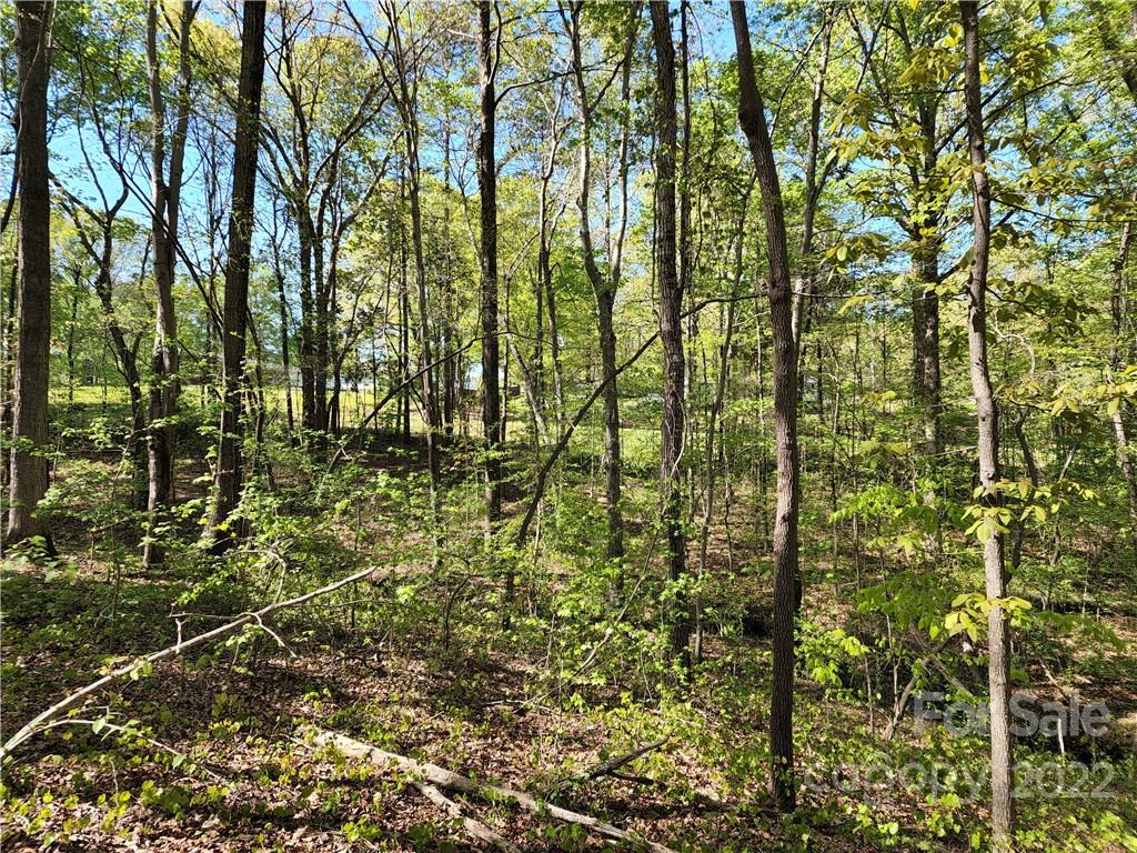 Tbd Unity Church Road Kings Mountain, NC 28086 - Photo 19 of 26 a view of forest