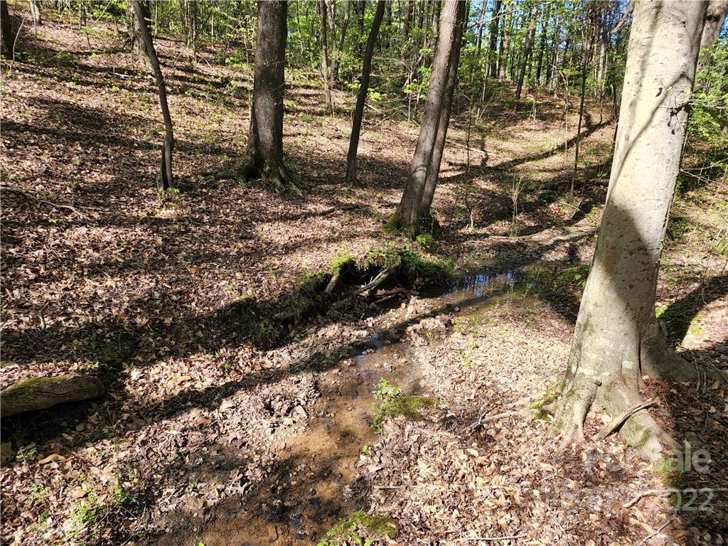 Tbd Unity Church Road Kings Mountain, NC 28086 - Photo 20 of 26 a backyard of a house with lots of green space