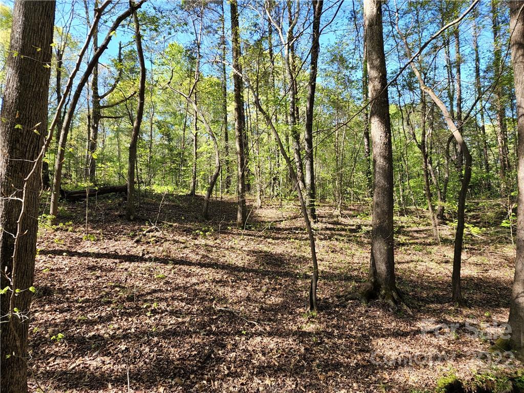 Tbd Unity Church Road Kings Mountain, NC 28086 - Photo 2 of 26 a backyard of a house with lots of green space