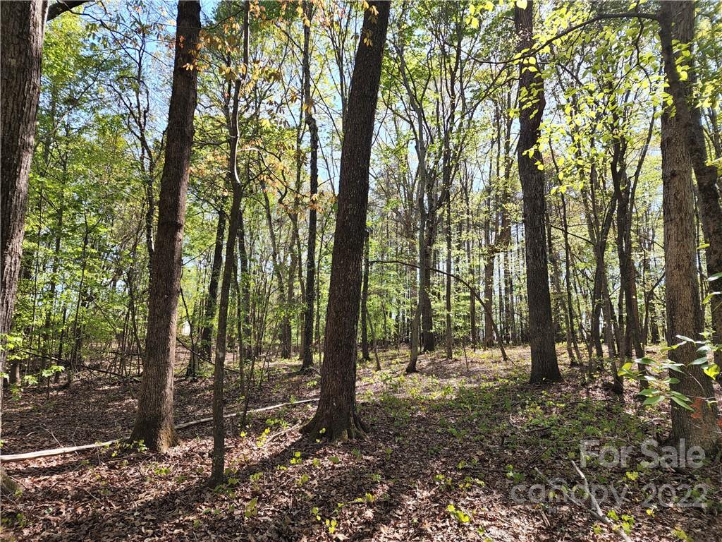 Tbd Unity Church Road Kings Mountain, NC 28086 - Photo 5 of 26 a view of outdoor space and trees