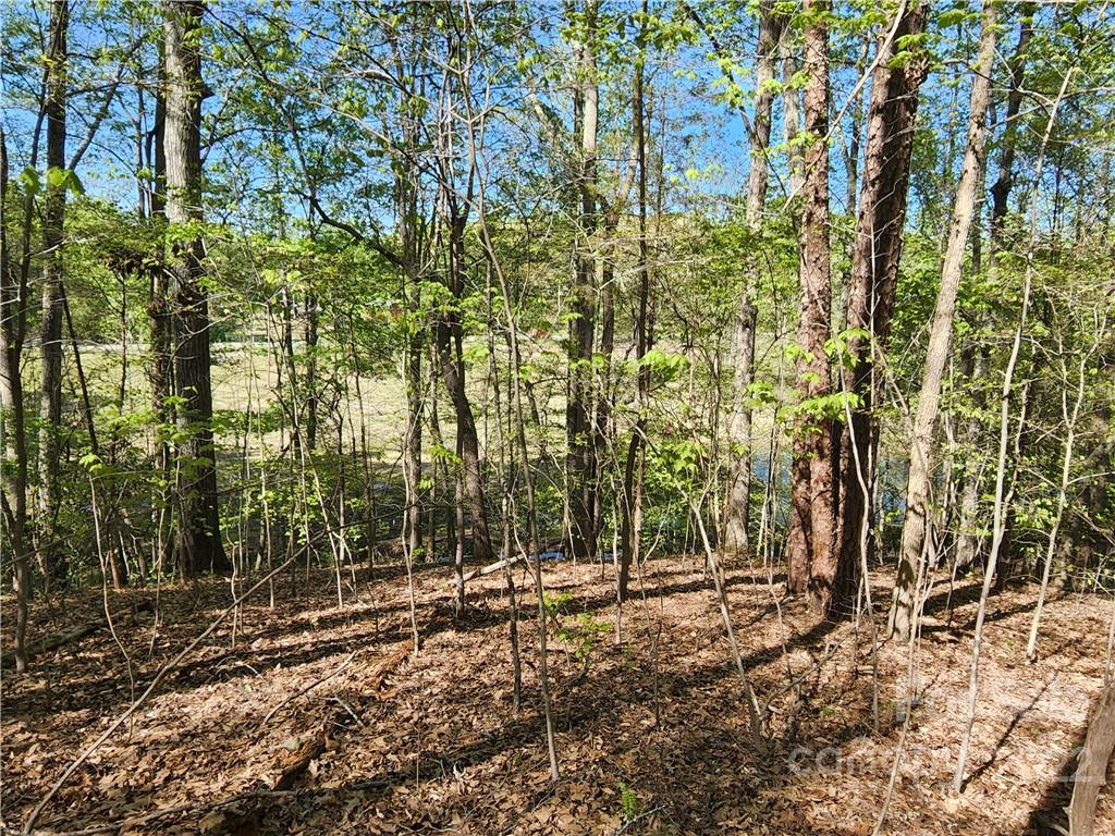 Tbd Unity Church Road Kings Mountain, NC 28086 - Photo 8 of 26 a view of a forest with trees