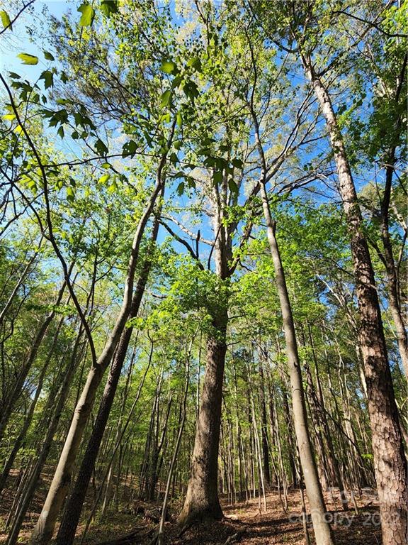 Tbd Unity Church Road Kings Mountain, NC 28086 - Photo 9 of 26