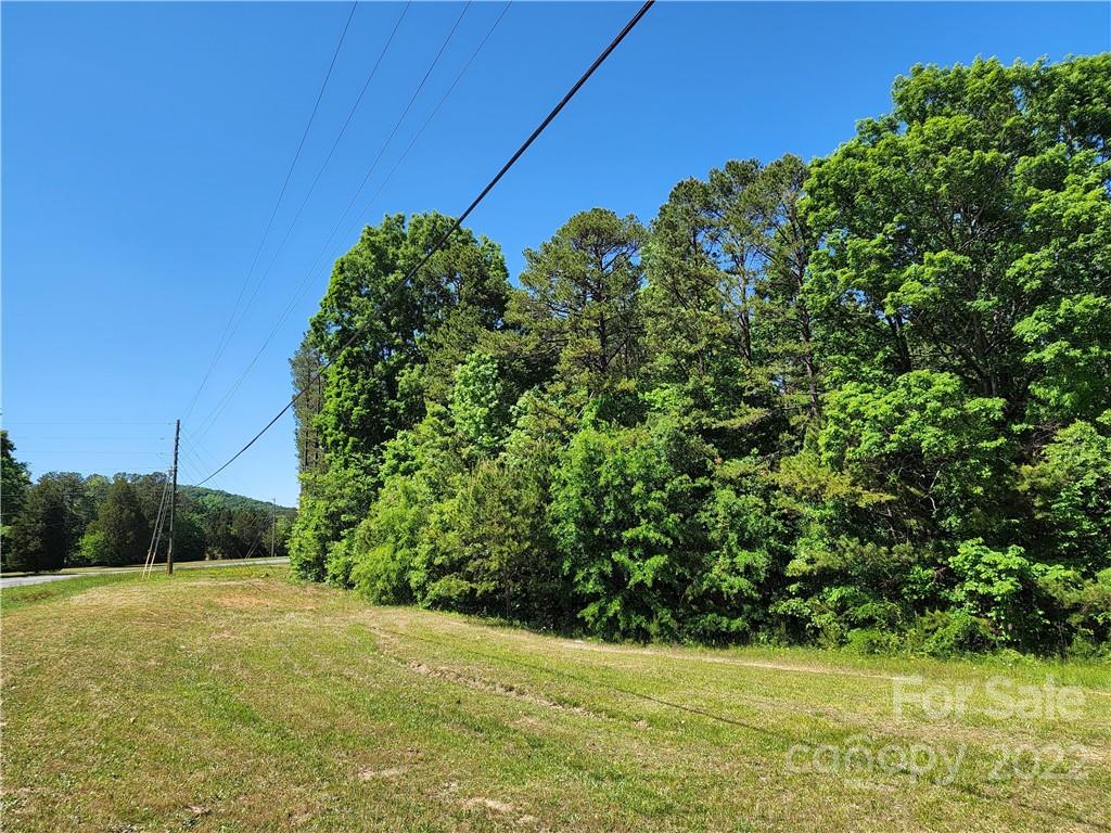 Tbd Unity Church Road Kings Mountain, NC 28086 - Photo 10 of 26 a view of a yard with potted plants