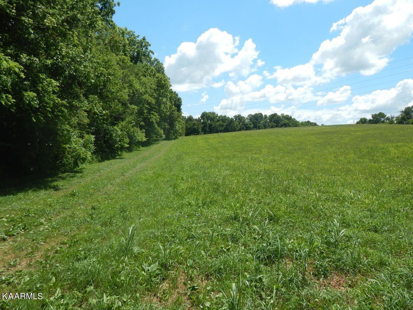 Reed Road Greeneville, TN 37745 - Photo 2 of 4 Reed#2-2