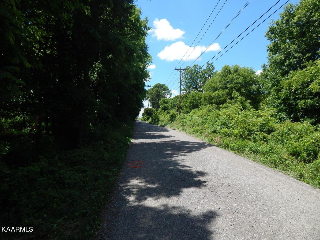 Reed Road Greeneville, TN 37745 - Photo 3 of 4 Reed#2-3