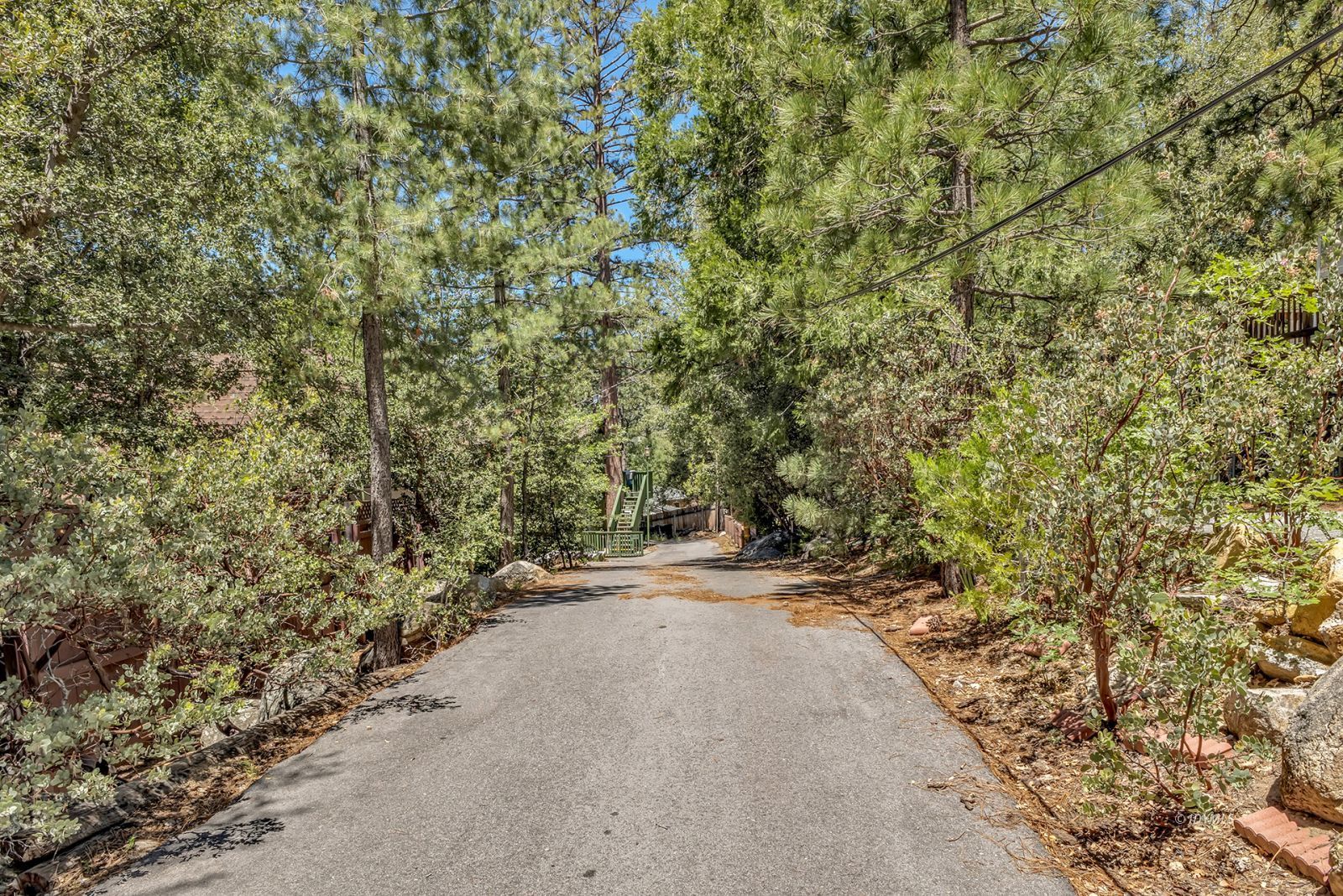 25595 Glen Road Idyllwild, CA 92549 - Photo 4 of 51 a view of a road with a yard