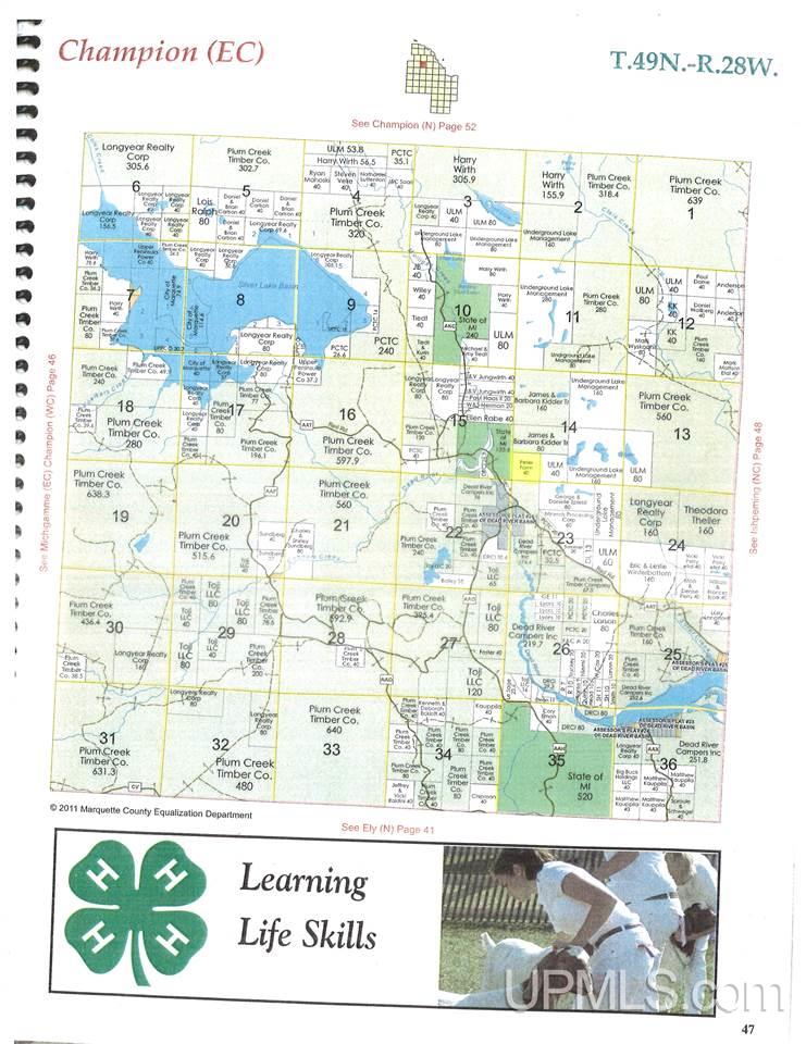 40-acres 40-acres Co Road Champion, MI 49814 - Photo 18 of 20