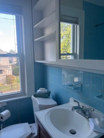 a bathroom with a sink and a toilet