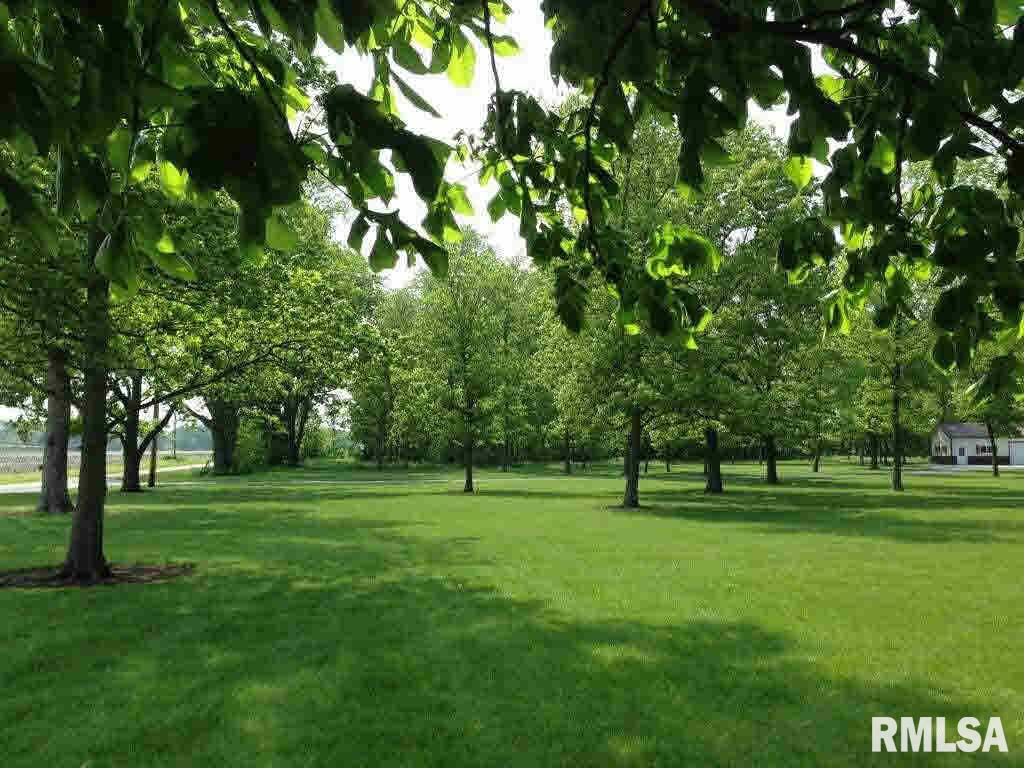 21560 Town Hall Road Prophetstown, IL 61277 - Photo 5 of 24