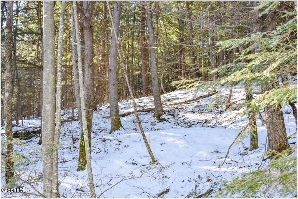 20 Carriage Knolls Road Chester, NY 12817 - Photo 2 of 7 Lot 20