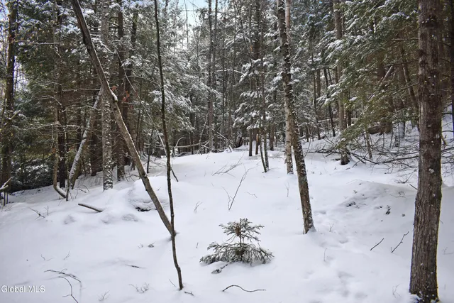 $49,500 | 20 Carriage Knolls Road, Chester, NY 12817