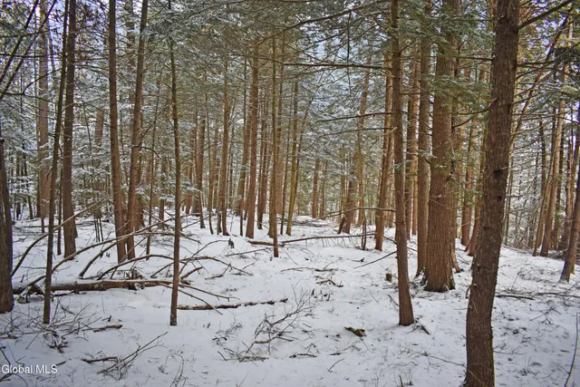 $49,500 | 20 Carriage Knolls Road, Chester, NY 12817