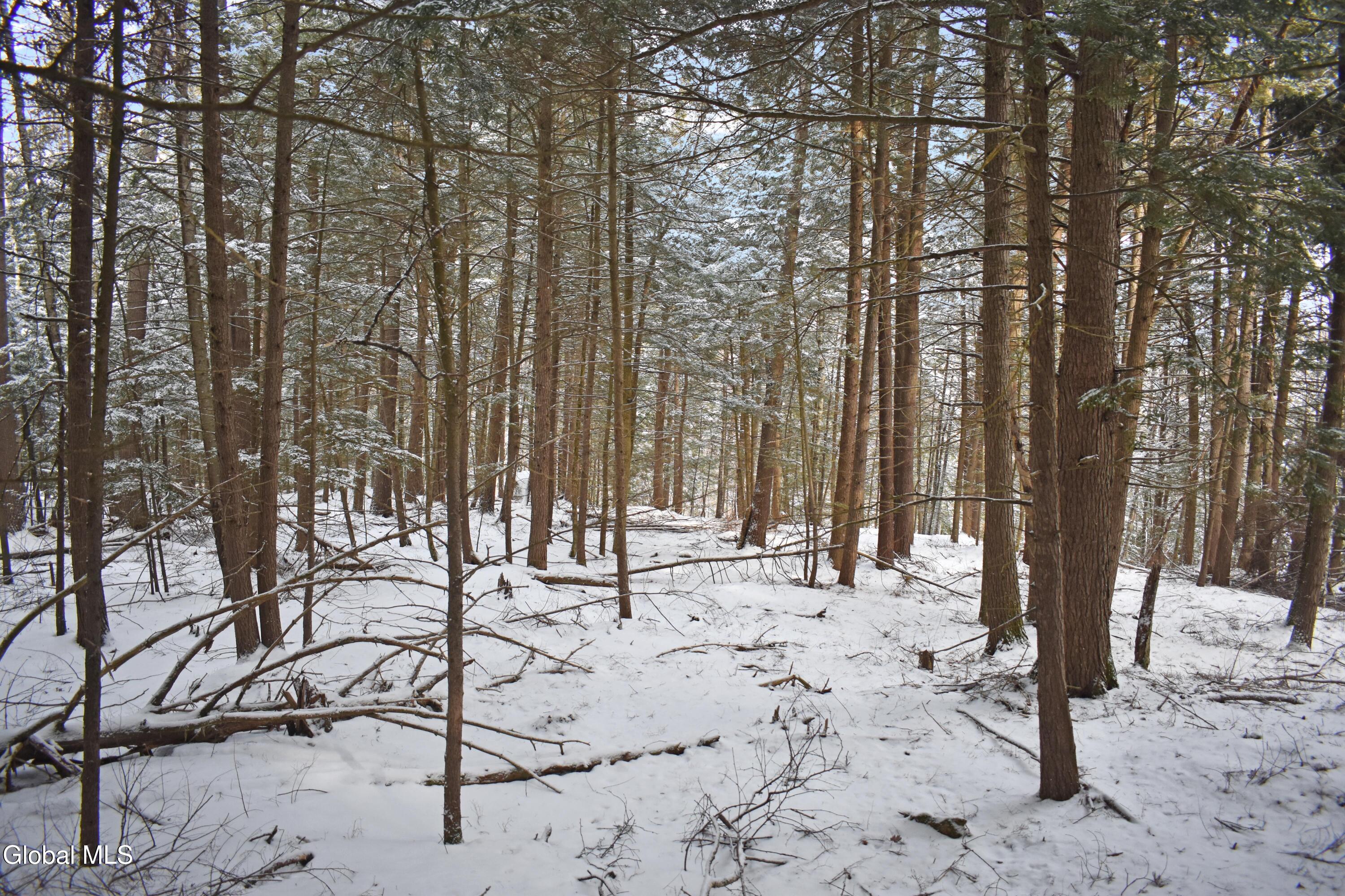 20 Carriage Knolls Road Chester, NY 12817 - Photo 5 of 7 DSC_0425