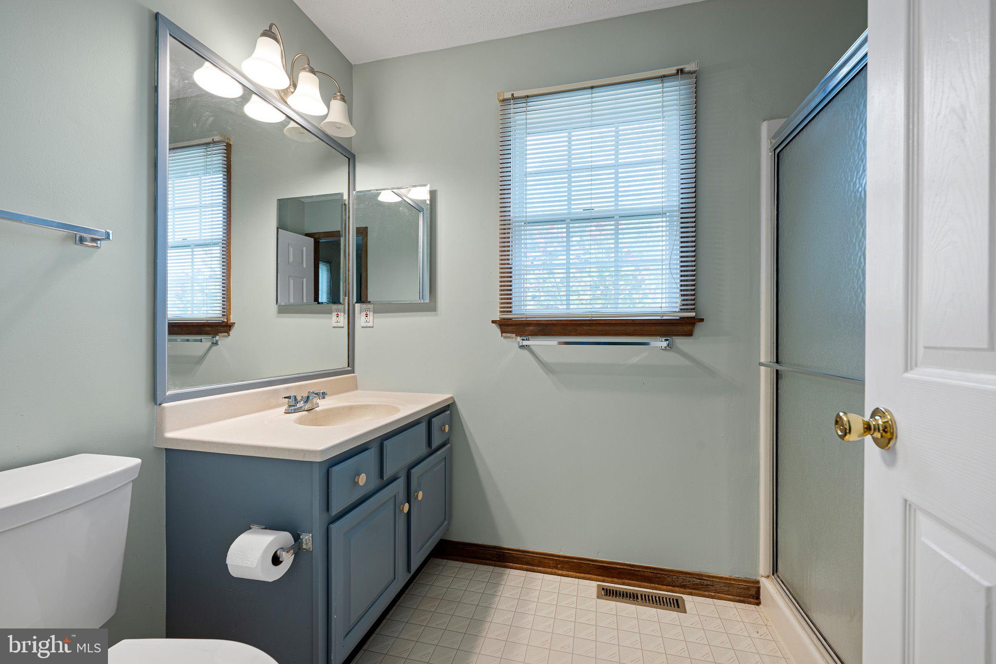 485 Bethany Loop Bethany Beach, DE 19930 - Photo 25 of 40 a bathroom with a sink a toilet a mirror and a shower