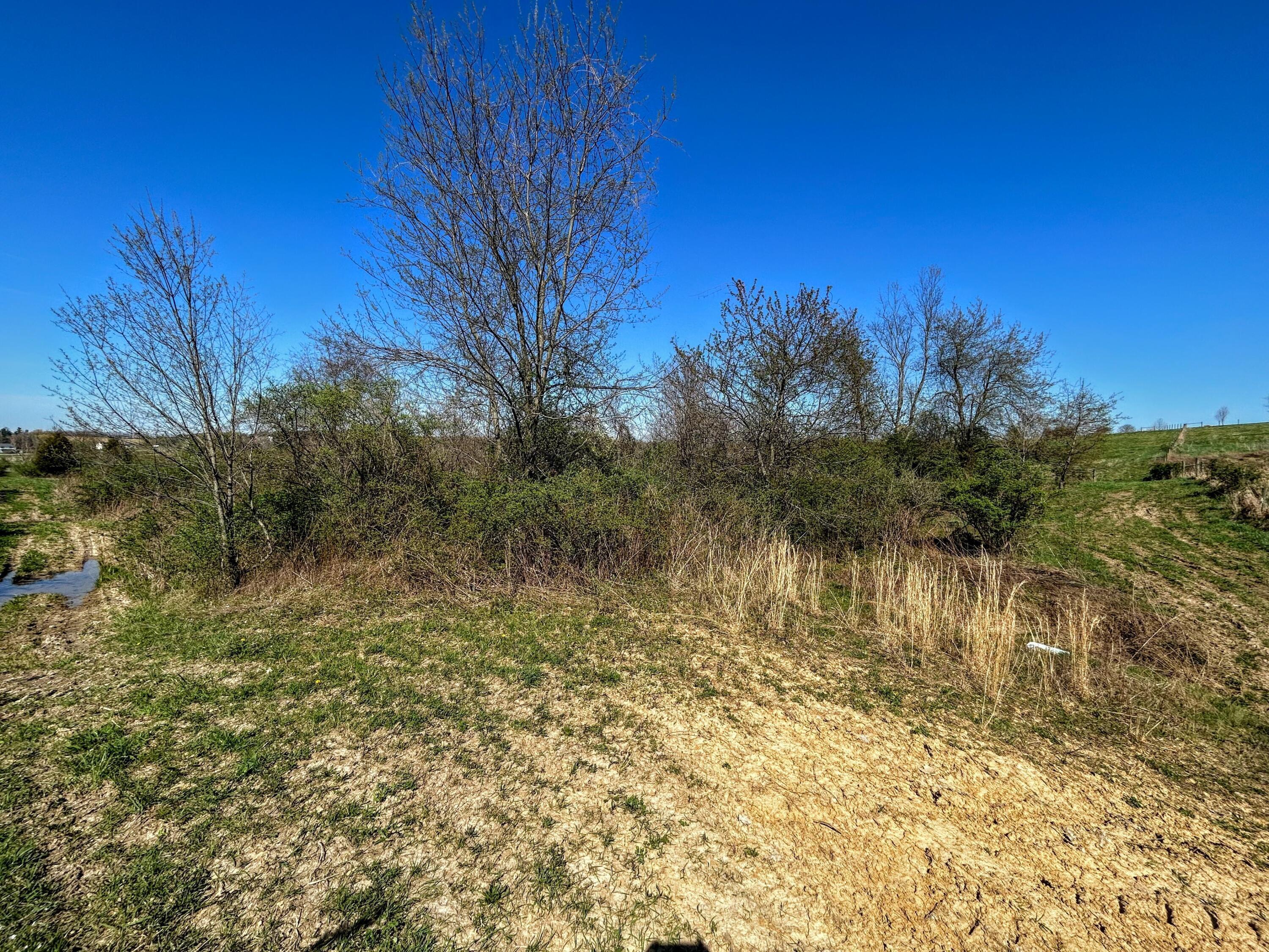 6366 County Road 52 Rushville, OH 43150 - Photo 22 of 80 IMG_5931