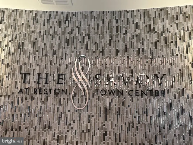 a view of a potted plant on a wall