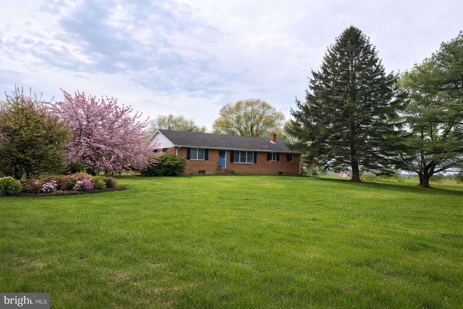 24295 Langford Road Chestertown, MD 21620 - Photo 2 of 3 a view of a big house with a big yard and large trees