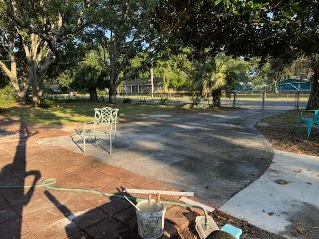 a view of a park with large trees