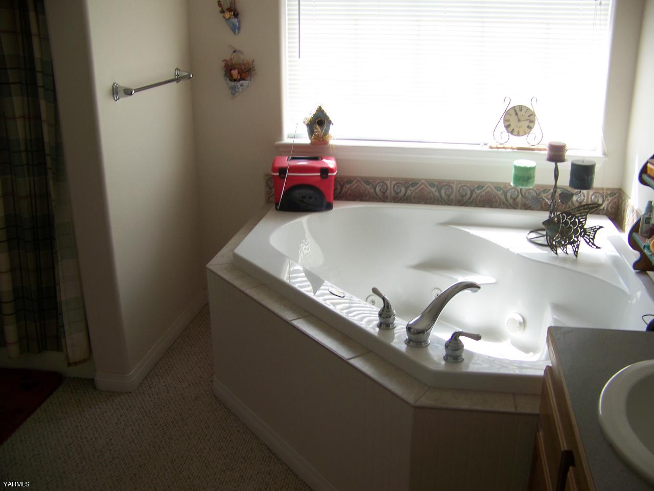 10811 Zier Road Yakima, WA 98908 - Photo 14 of 20 a close view of sink