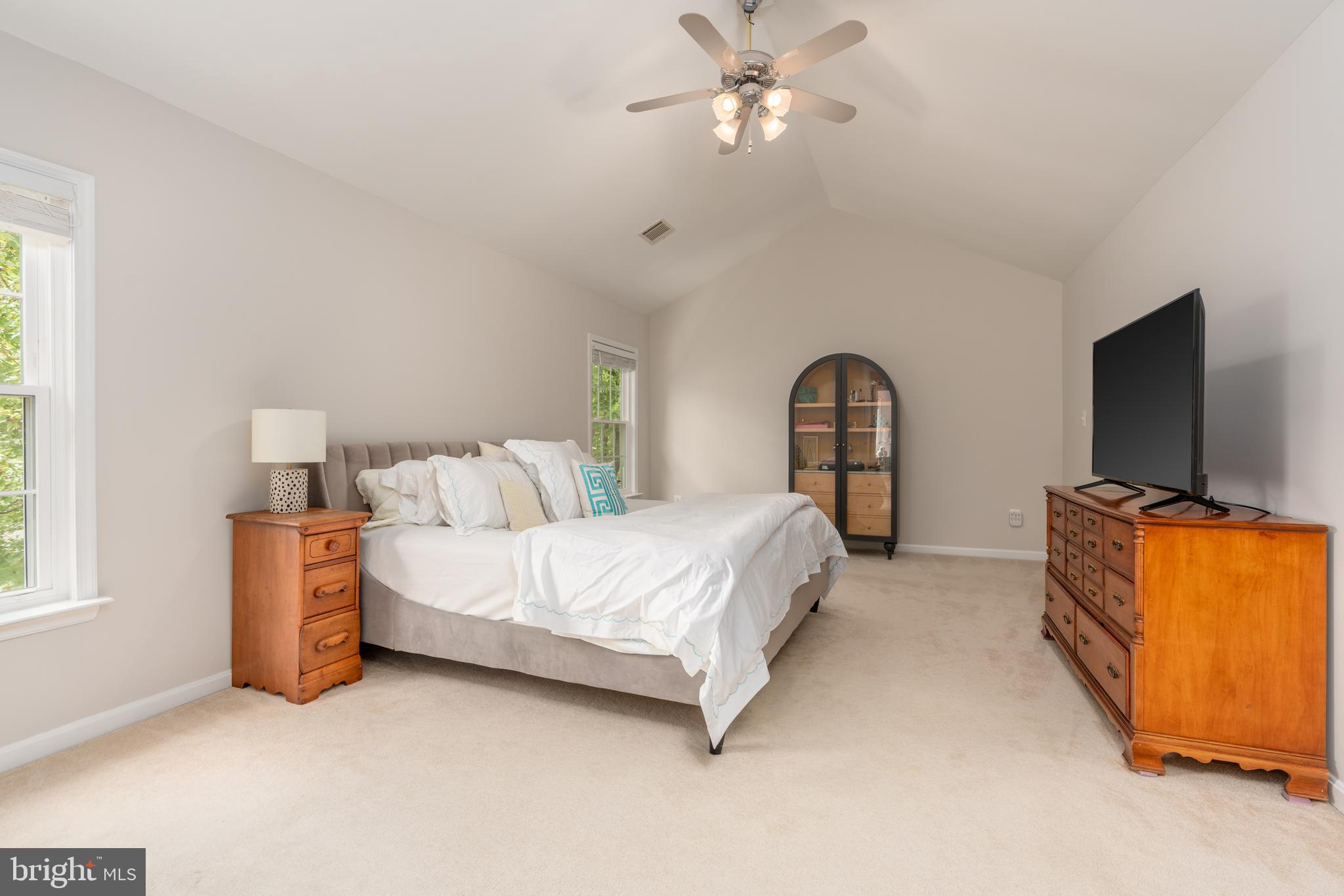 47543 Rippling Drive Sterling, VA 20165 - Photo 22 of 52 Primary Bedroom with vaulted ceilings