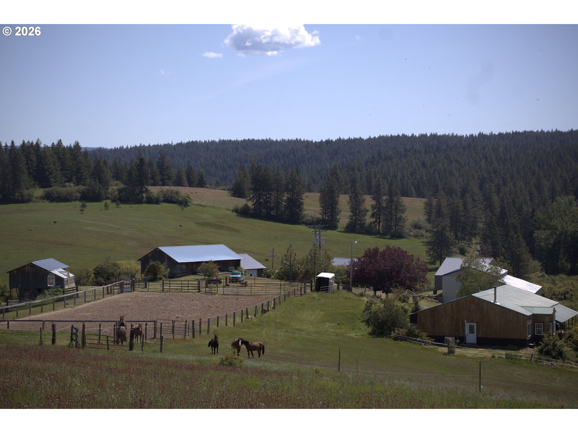 55821 Wildhorse Road Weston, OR 97886 - Photo 4 of 33