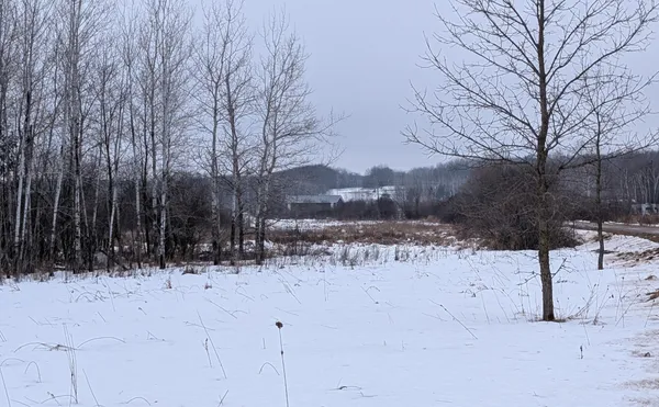 $123,500 | Tbd Hummingbird Road, Long Prairie, MN 56347